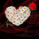 ���� Extasy, ����� - ��������� 17 ������ 2018 � ������ ��������