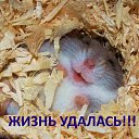 ���� ������, ������������ - ��������� 13 ������� 2018 � ������ ���� ����������