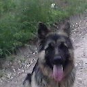 ���� �������, �������, 53 ���� - ��������� 6 ���� 2018 � ������ ���� ����������