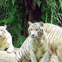 ���� �������, ����������, 50 ��� - ��������� 18 ������ 2018 � ������ ���� ����������