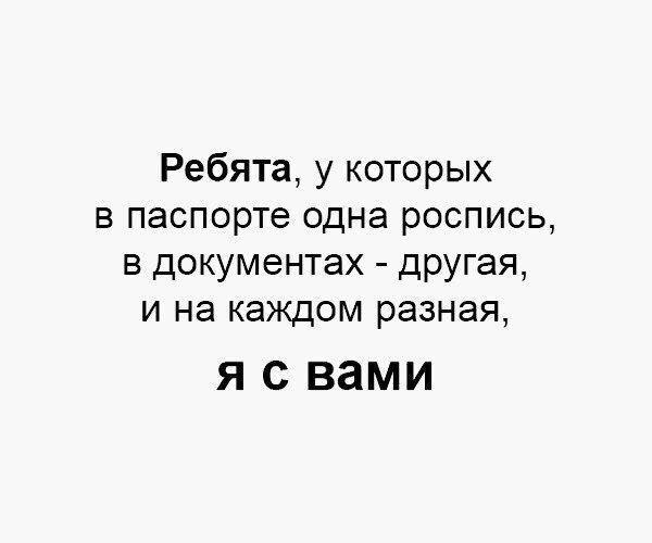 . - 13  2017  03:42