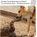 ���� Tala, ������� - ��������� 10 ��� 2018 � ������ ���� ����������
