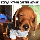 ���� Milena, ������ - ��������� 20 ������ 2017 � ������ ������ ��������