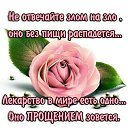 ���� �������, �����, 64 ���� - ��������� 18 ������� 2018 � ������ ������ ��������