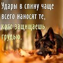 ���� ������, ����������� - ��������� 15 ������ 2018 � ������ ������ ��������