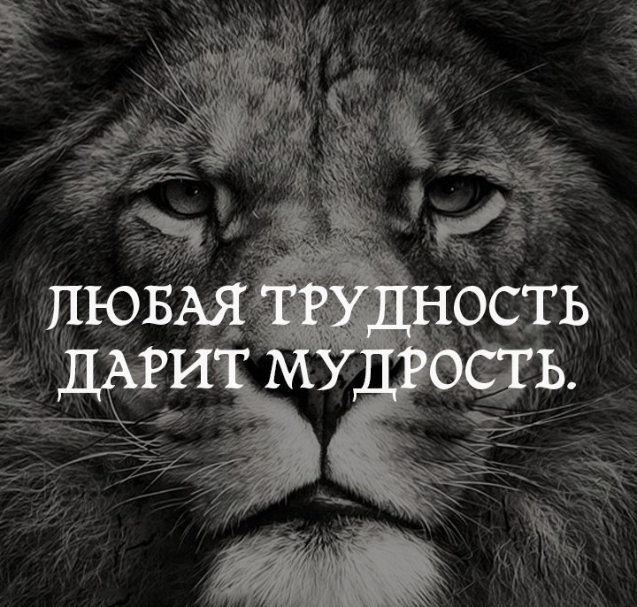 Фото на аву слова со смыслом