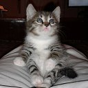 ���� �����, ����������� - ��������� 5 ���� 2018 � ������ ���� ����������