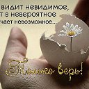 ���� �������, �������� ���, 72 ���� - ��������� 11 ������� 2017 � ������ ������� �������.�