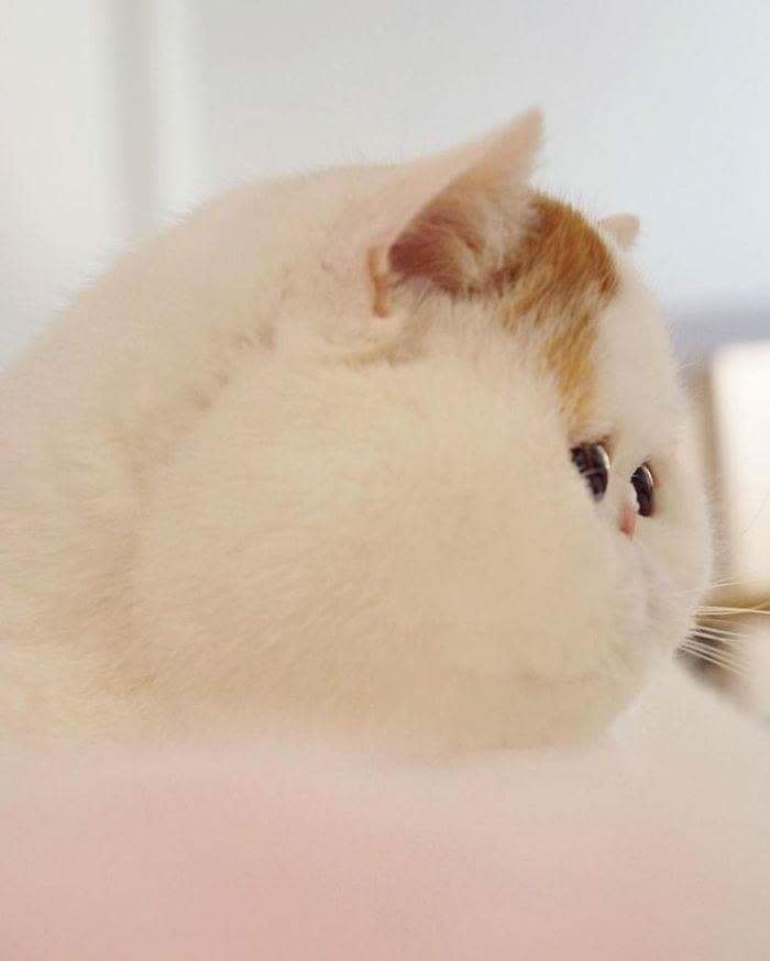    -   ? - 3