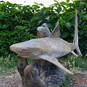  , , 49  -  7  2018    2018