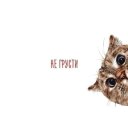 ���� ����, ����, 42 ���� - ��������� 22 ������ 2018 � ������ ���� ����������