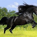 ���� Stanislav � ����� �� ��������, ����������, 45 ��� - ��������� 12 ����� 2018 � ������ ���� ����������