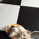 ���� ������, �����-��������, 49 ��� - ��������� 18 ����� 2018 � ������ ������ ��������