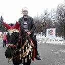 ���� ���������, ���������, 38 ��� - ��������� 9 ������� 2017