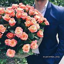 ���� �������, ������� - ��������� 15 ���� 2018 � ������ ������ ��������