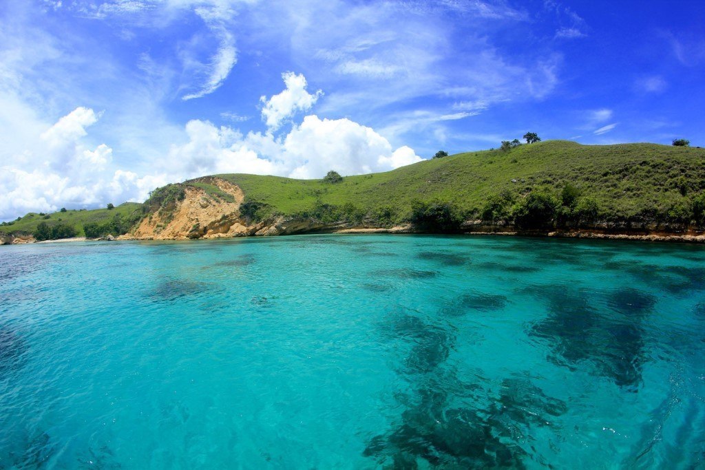 Komodo Island - 2