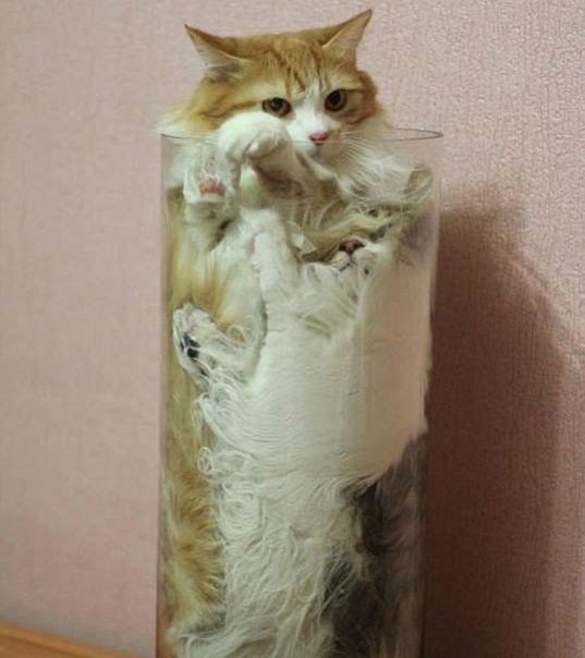 ���������� ������ ��������, ��� ����, �� ����� ���� � ��������. - 5