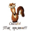 ���� ������, ������ �������, 41 ��� - ��������� 29 ��� 2018 � ������ ���� ����������