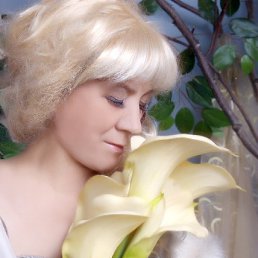 ���� ������, �����������-��-�����, 71 ��� - ��������� 5 ������� 2018