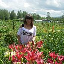 ���� ����, �����������-��-�����, 48 ��� - ��������� 6 ���� 2018 � ������ ���� ����������