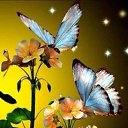 ���� Liudmila, �������, 70 ��� - ��������� 21 ������ 2017 � ������ ������ ��������