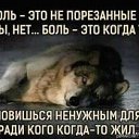 ���� Alekcandr, ������ - ��������� 22 ��� 2018 � ������ �������� ��������
