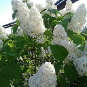 ���� �������, ���������, 71 ��� - ��������� 2 ���� 2018 � ������ ������ ��������