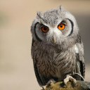 ���� �����, �������, 48 ��� - ��������� 25 ������� 2018 � ������ ���� ����������