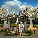 ���� ������, ������ - ��������� 17 ��� 2018 � ������ ���� ����������