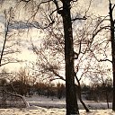 ���� ��������, �����, 77 ��� - ��������� 23 ������� 2017 � ������ �������� � ����� 24.���. 2017�