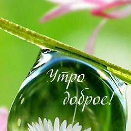  Radik, , 52  -  30  2018