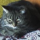 ������ �