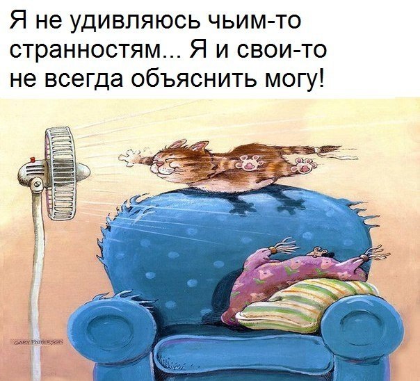   - 13  2017  03:49