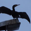 ���� Os, ������� - ��������� 30 ������ 2017 � ������ �������