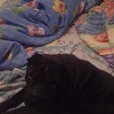 ���� ������, ���������, 42 ���� - ��������� 1 ������� 2018