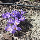  -   !,  -  14  2018    .   2018