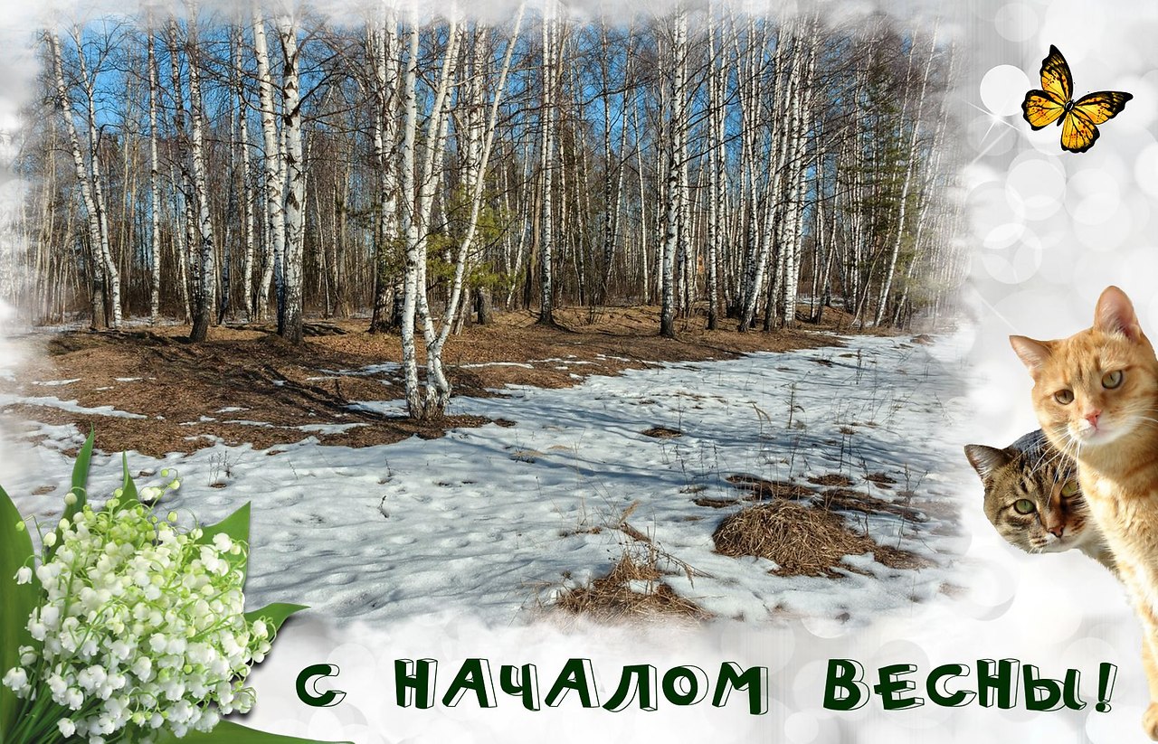 Весна! Ну вот она пришла… а с ней и новые надежды. Заждались мы её тепла: Прощай зима и холод ...