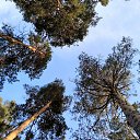 ���� �����, ��������, 54 ���� - ��������� 4 ���� 2018 � ������ ������ ��������