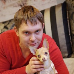 ���� ����, ���������, 43 ���� - ��������� 14 ������ 2018