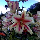 ���� ����, ����������, 47 ��� - ��������� 10 ������� 2017 � ������ ���� ����������