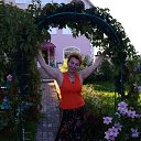 ���� �����, ������, 69 ��� - ��������� 21 ������� 2017 � ������ ���� ����������