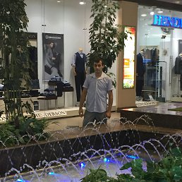 &uarr; � &uarr; � &uarr;, �������, 41 ���
