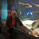 ���� �����, ������ - ��������� 28 ���� 2018 � ������ ���� ����������