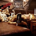 ���� Valdemar, ������� - ��������� 6 ����� 2018