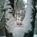 ���� �����, ��������, 54 ���� - ��������� 8 ������ 2018 � ������ ������ ��������