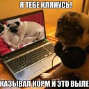 ���� �������, ������� - ��������� 3 ������ 2018 � ������ ������ ��������