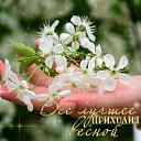 ���� ������, �������, 77 ��� - ��������� 25 ����� 2018