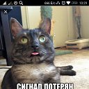 ���� Dy, ������� - ��������� 6 ������� 2018 � ������ ���� ����������