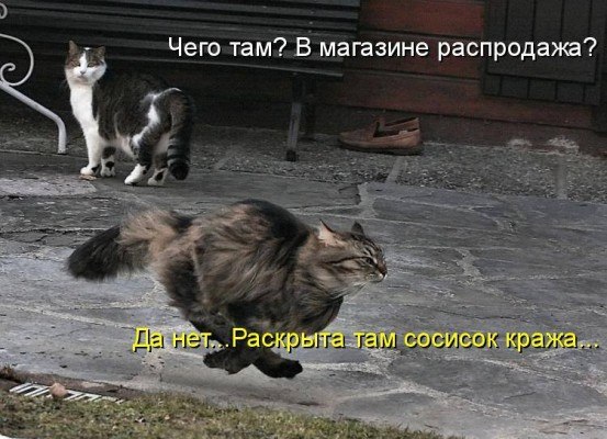 � ����� �����! - 15 ������ 2018 � 17:03