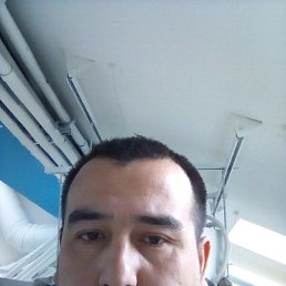 ���� �������, �����-���������, 38 ��� - ��������� 7 ������ 2018